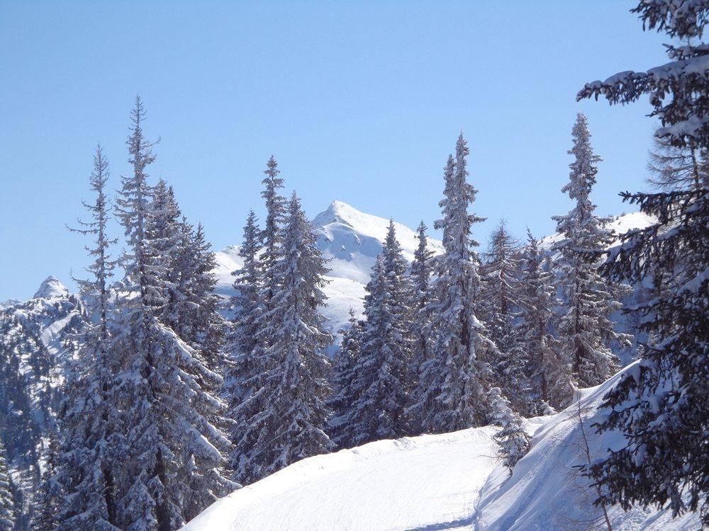 Apartment Hinkerhof Schladming Kültér fotó